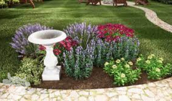 Bird Bath Large