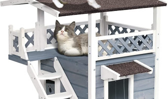 Cat Tree