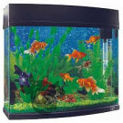 Fish Aquarium Test