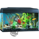 Fish tank Sctratch test
