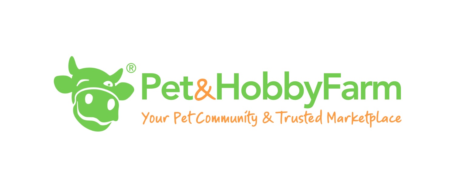 ​Help your pet blossom this spring: A Guide to identifying seasonal allergies.